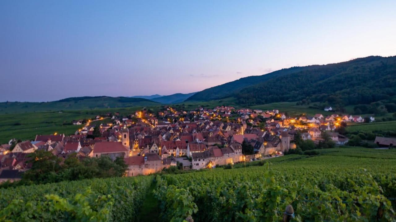 Chez Chris & Ju Leilighet Biesheim Eksteriør bilde